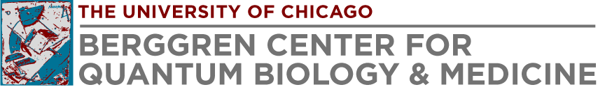Berggren Center Logo